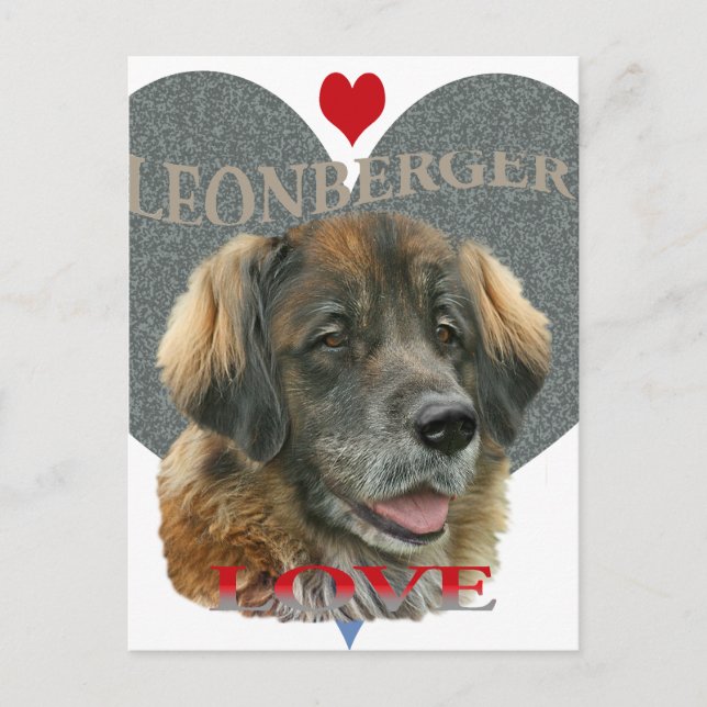 Carte Postale Idées cadeaux Leonberger Love (Devant)