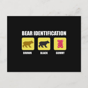 Carte Postale Identification de l'ours drôle