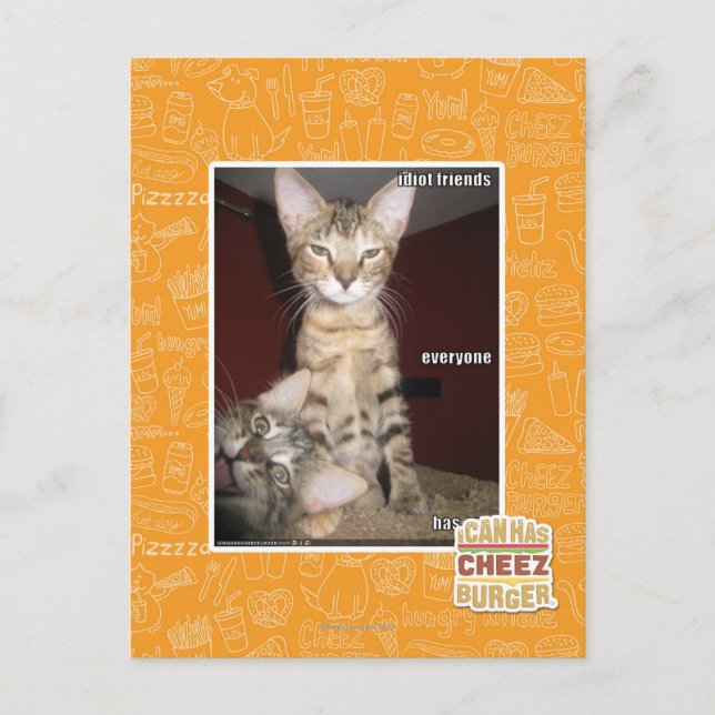 Carte Postale Idiot Friends (Devant)