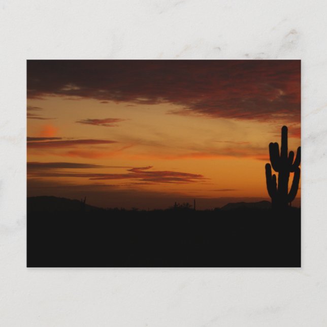 Carte postale IDKP Sunset (Devant)