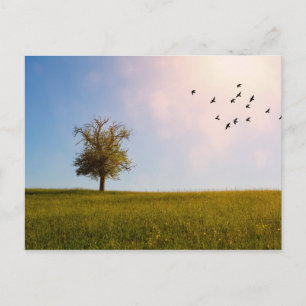 Carte Postale Idylle champêtre