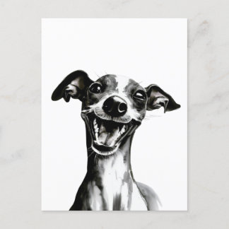 Carte Postale Iggy noir et blanc | Cute Greyhound italien