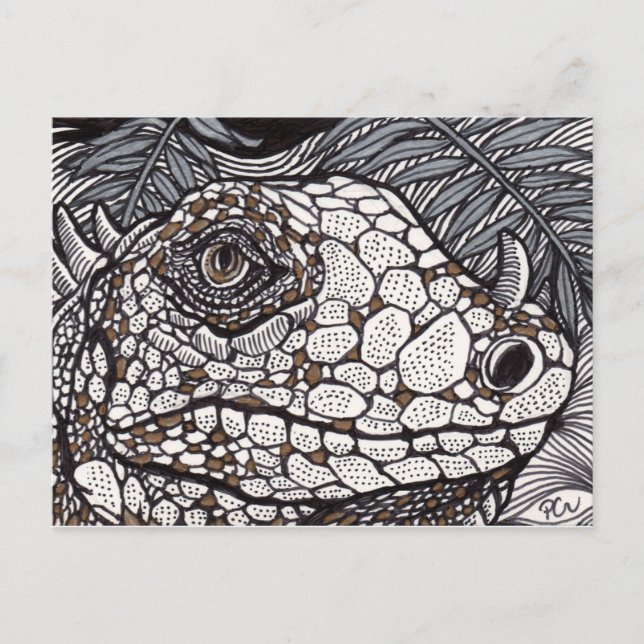 Carte Postale Iguana en colère (Devant)