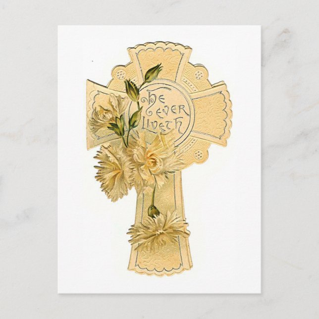 Carte Postale Il a toujours vécu (Devant)