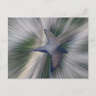 Carte Postale Il Est Terminé