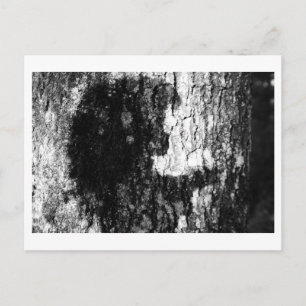 Carte Postale Il était une fois dans les bois