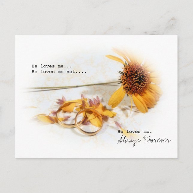 Carte Postale Il M'Aime (Devant)