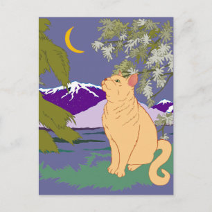 Carte Postale Il Pourrait Y Avoir Des Mourices