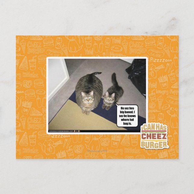 Carte Postale Il se fait chier. (Devant)