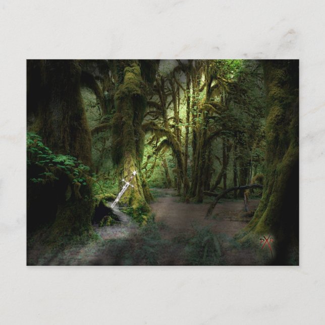 Carte Postale Il sera roi (Devant)