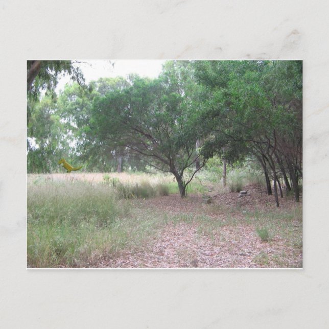 Carte Postale Il y a un dinosaure dans la forêt... (Devant)