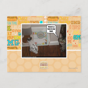 Carte Postale Il y a un lièvre dans ma nourriture.