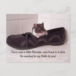Carte Postale Il y avait un petit hamster....