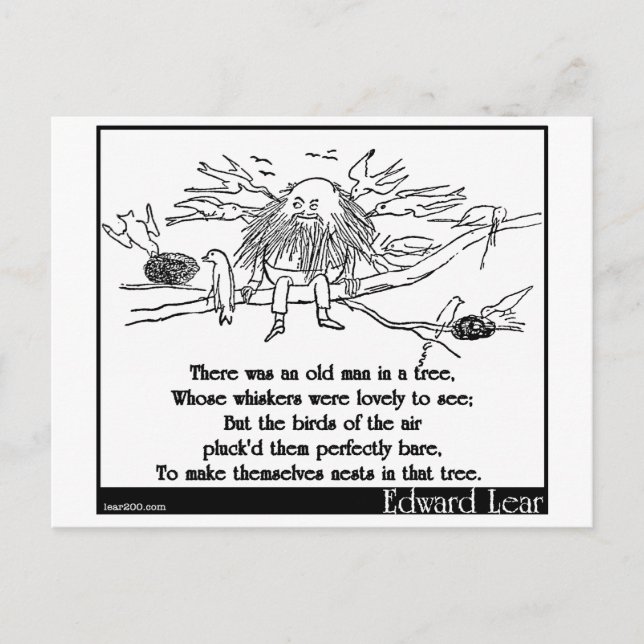 Carte Postale Il y avait un vieil homme dans un arbre (Devant)
