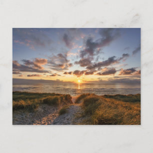 Carte Postale Île Allemagne de Sylt
