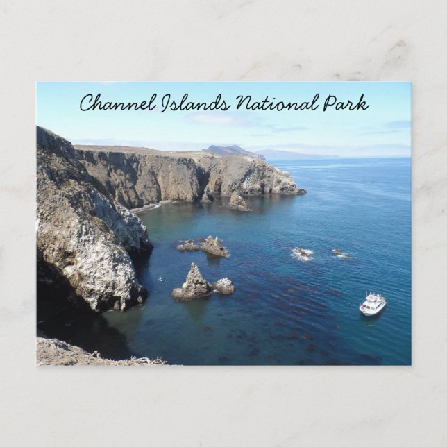Carte Postale Île d'Anacapa - Parc national des Îles-de-la-Manch (Devant)