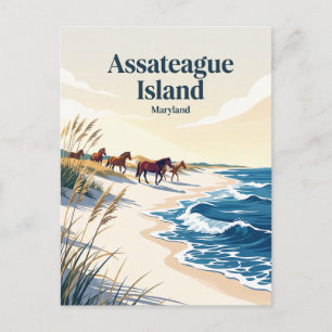 Carte Postale Île d'Assateague Maryland