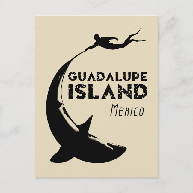 Carte Postale Île de Guadalupe Mexique | Plongée avec requins (Devant)