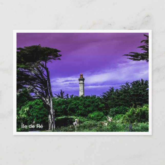 Carte Postale Île de Ré France (Devant)