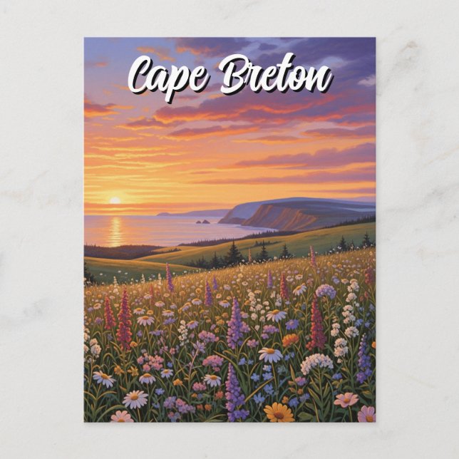 Carte Postale Île du Cap-Breton Canada Coucher de soleil Fleur s (Devant)