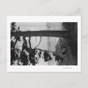 Carte Postale Île Lopez, WA - Bateaux De Pêche Dans La Baie