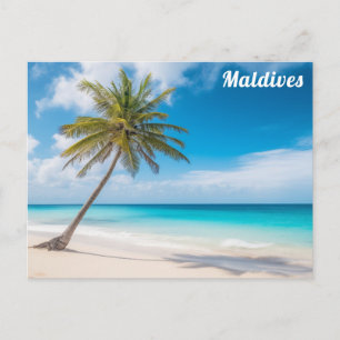 Carte Postale Île Maldives Océan Plage Palmier Voyage