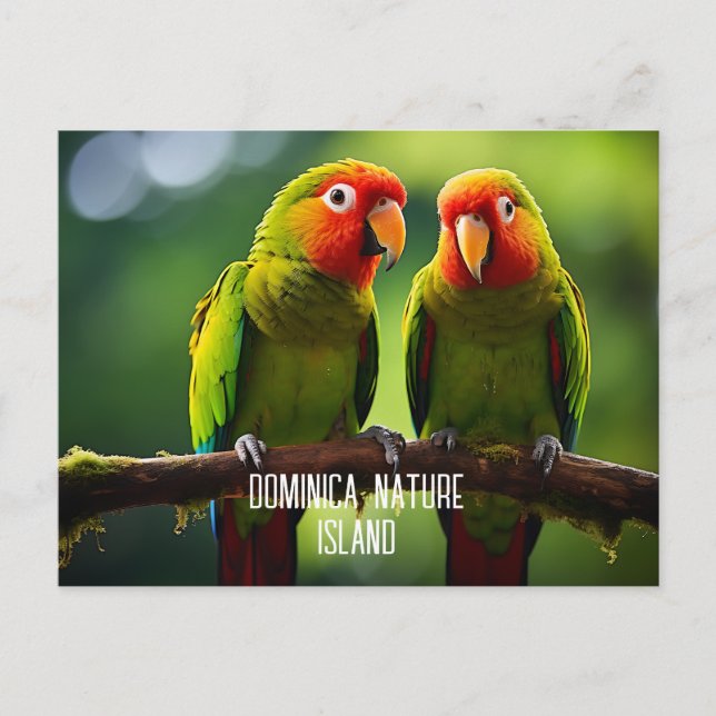 CARTE POSTALE ÎLE NATURELLE DE PARROTS DOMINICA (Devant)