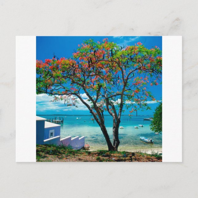 Carte Postale Ile tropicale Fuite tropicale Bahamas (Devant)