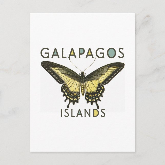 Carte Postale Îles des papillons Galapagos (Devant)