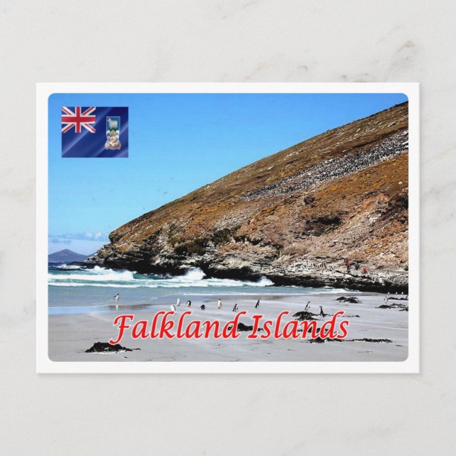 Carte Postale Îles Falkland - (Devant)