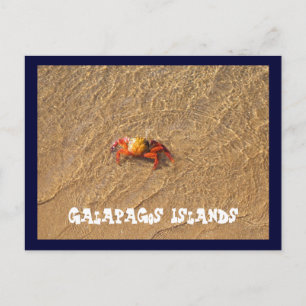 Carte Postale Îles Galapagos
