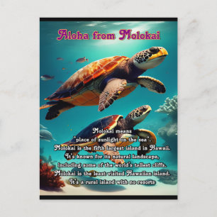 Carte Postale Iles hawaïennes Molokai Aloha