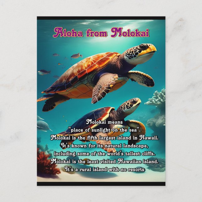 Carte Postale Iles hawaïennes Molokai Aloha (Devant)