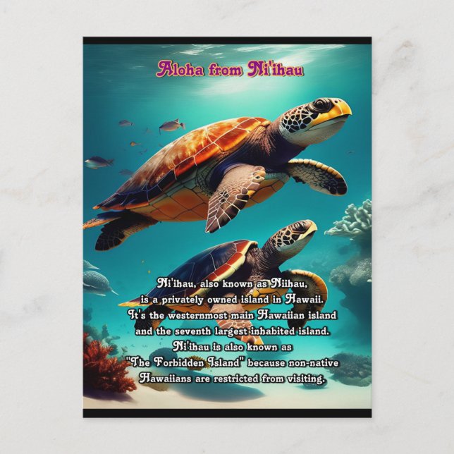 Carte Postale Iles hawaïennes Niihau Aloha (Devant)