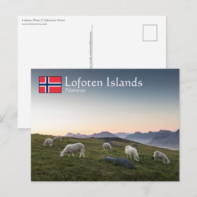 Carte Postale Îles Lofoten Norvège (Devant / Derrière)