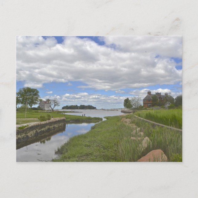 Carte Postale Îles Thimble (Devant)