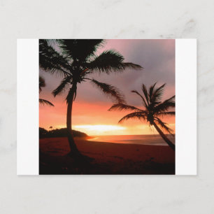 Carte Postale Îles tropicales Palms République dominicaine