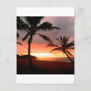 Carte Postale Îles tropicales Palms République dominicaine