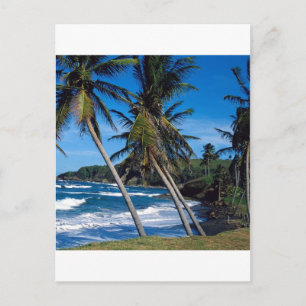 Carte Postale Îles tropicales Vagues estivales Sainte-Lucie