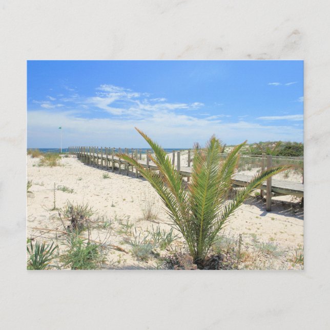 Carte Postale Ilha de Tavira (Devant)