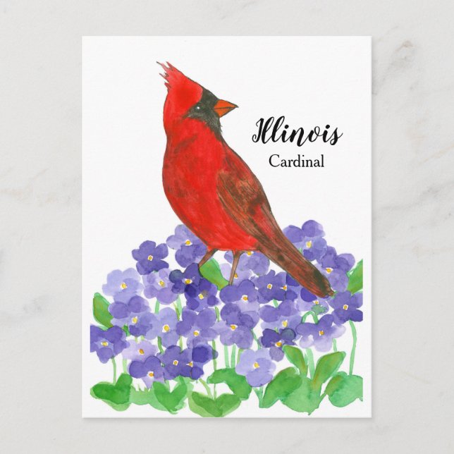 Carte Postale Illinois Cardinal Violettes en bois violet (Devant)