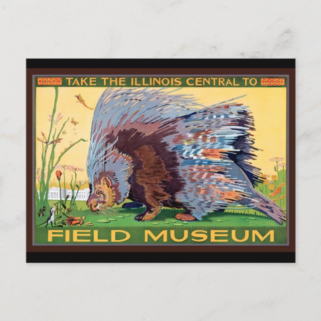 Carte Postale Illinois Central to Field Museum Porcupine (Devant)
