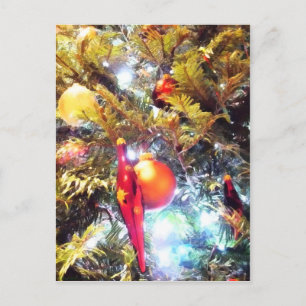 Carte Postale Illuminer les ornements
