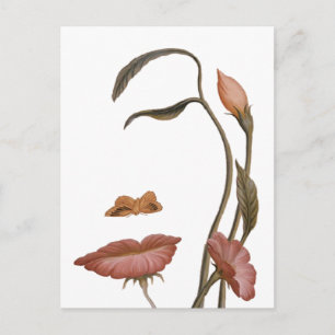 Carte Postale Illusion de la fleur faciale