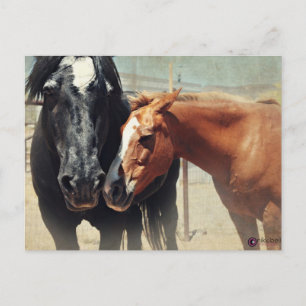 Carte Postale Illusion et précipitation