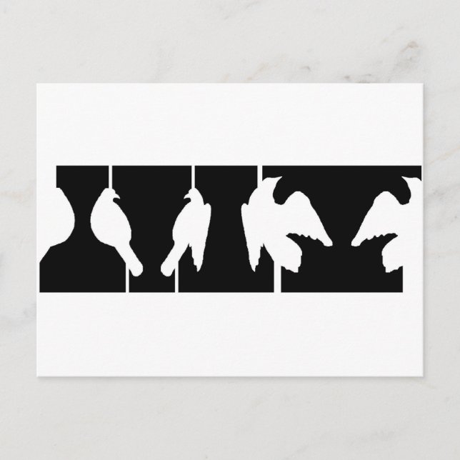 Carte Postale Illusion optique des urnes ou des oiseaux en vol (Devant)