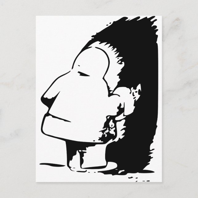 Carte Postale Illusion optique indienne ou esquimaude (Devant)