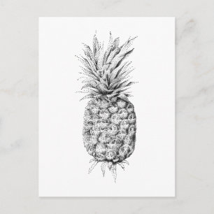 Carte Postale Illustration ananas