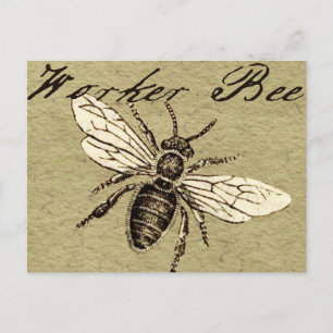 Carte Postale Illustration Antique d'Abeille Ouvrière Insecte Vi