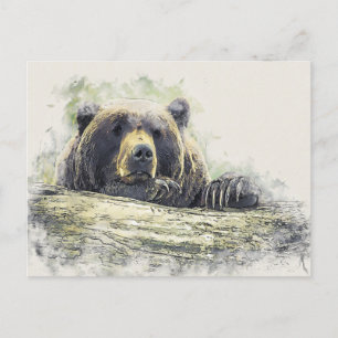 Carte Postale Illustration aquarelle de l'ours au repos
